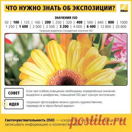 Как научиться фотографировать: пошаговая инструкция от Nikon