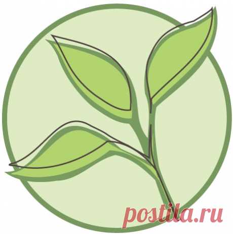 Салаты и закуски на новый год 2017- подборка лучших рецептов