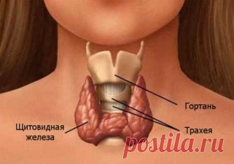 Гипотиреоз: как подобрать лечебные травы