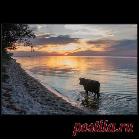 Фотографія Курс - на закат:)) / Дмитрий Домбровский / photographers.ua