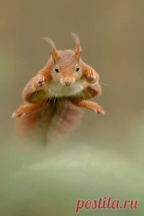 500px / The New Superman!!!! by Edwin Kats
