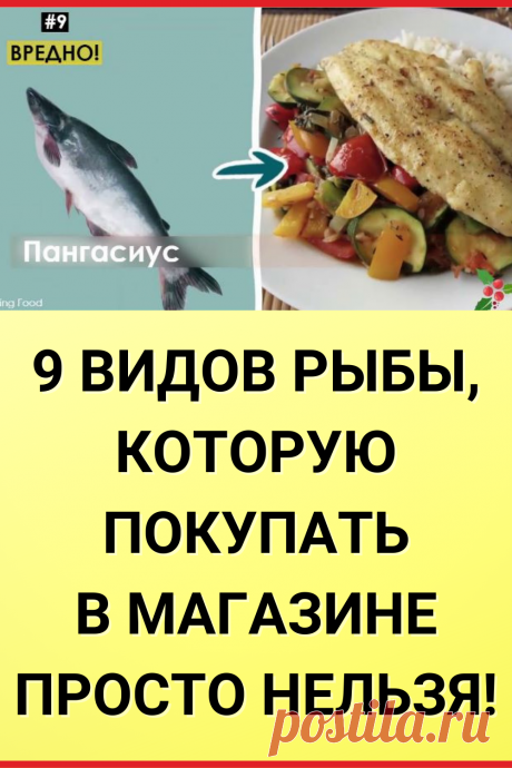 9 видов рыбы, которую покупать в магазине просто нельзя