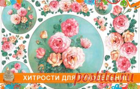 Поиск новостей по запросу #лайфхак_virtualcollege