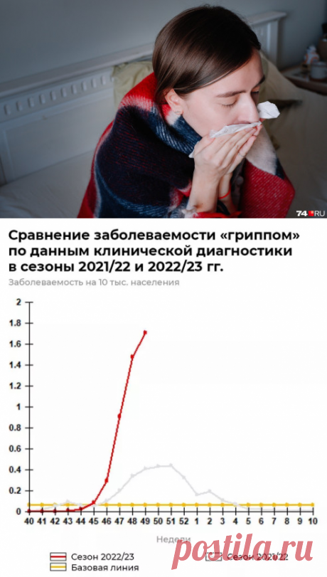 "Испанка" вернулась. Россия столкнулась с особо опасным гриппом 
Иногда они возвращаются
Заболеваемость гриппом в стране выросла в несколько раз по сравнению с прошлогодними показателями — 143,6 случая на десять тысяч населения, информирует НИИ имени Смородинцева.
Среди штаммов преобладает так называемый свиной (H1N1). Генеалогически он восходит к знаменитой "испанке", которая, по некоторым оценкам, в 1918-1920 годах унесла жизни ста миллионов человек. Этот вариант несколь...