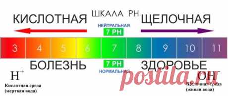 Защелачивание организма содой — научная точка зрения на кислотно-щелочной баланс