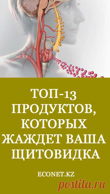 ТОП-13 продуктов, которых жаждет ваша щитовидка

Гипотиреоз – это длительная нехватка гормонов щитовидной железы. Это заболевание нельзя вылечить, но вполне можно контролировать. В этом помогают не только лекарственные препараты, но и определенные продукты питания.