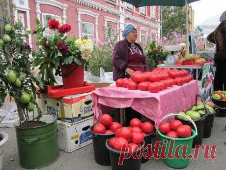 Интересные новости