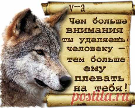 НЕ ВЕРЬ,тебя опять обманут, НЕ БОЙСЯ,всё пройдёт как сон, И НЕ ПРОСИ,давать не станут, Кто тянет руки,тот смешон. Запомни и в душе храни: НЕ ВЕРЬ,НЕ БОЙСЯ,НЕ ПРОСИ!!!