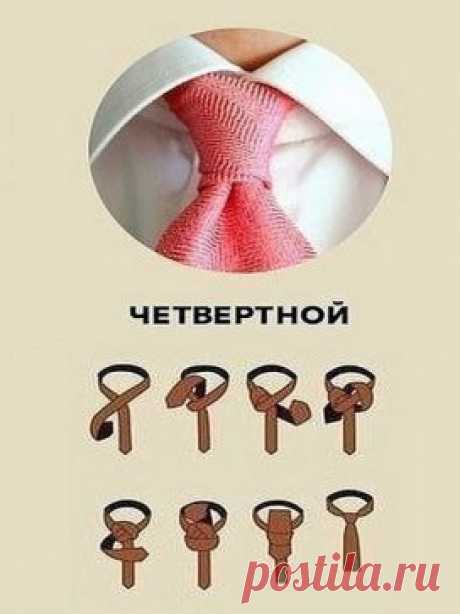 Показываем, как можно завязать галстук, если вы вдруг ещё не умеете или вам надоел простой галстучный узел.
Сохраните, пригодится!