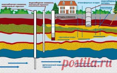 Как найти воду на участке для скважины: внешние признаки наличия подземных вод