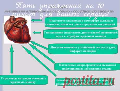 Пять упражнений на 10 минут для вашего сердца! - Советы Народной Мудрости - медиаплатформа МирТесен Пять упражнений на 10 минут для вашего сердца! Проблемы с сердцем могут быть у каждого из нас, и они приходят незаметно, в тот момент, когда просто перестаёшь о них думать. А ведь предотвратить можно любую катастрофу путём профилактики. Часто о профилактике вспоминают только в осенний период, когда