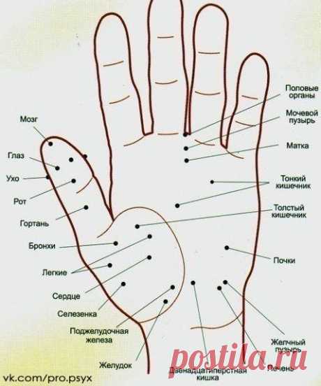 Волшебные точки на теле человека. Будьте всегда в форме / Surfingbird - все, что интересно тебе