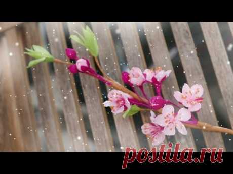 DIY How to make Cherry blossom flower by crepe paper Làm hoa anh đào giấy nhún