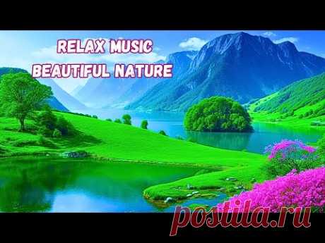 🌿 Magic of Nature: Melody of Beauty 🎶#nature #relax #animals #sleepingmusic #sleepmusic #relaxing