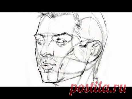 How to Draw the Head from Any Angle - YouTube