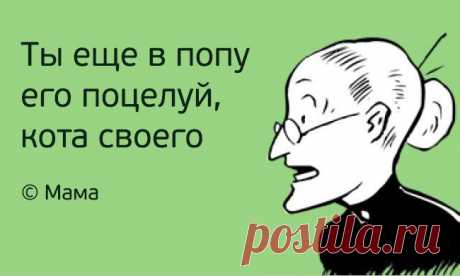 40 великих цитат наших родителей, с которыми не поспоришь