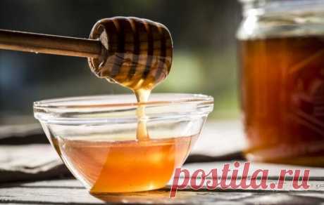 Мед при язве желудка — какой полезен, лечение, рецепты с алоэ и прополисом | Журнал "JK" Джей Кей