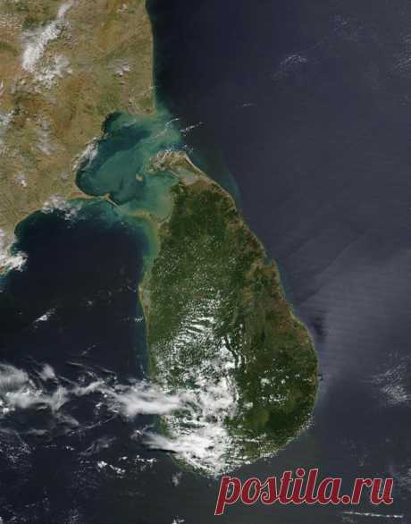 Шри-Ланка: рай посреди ласкового океана | Мой отпуск - делимся впечатлениями!
