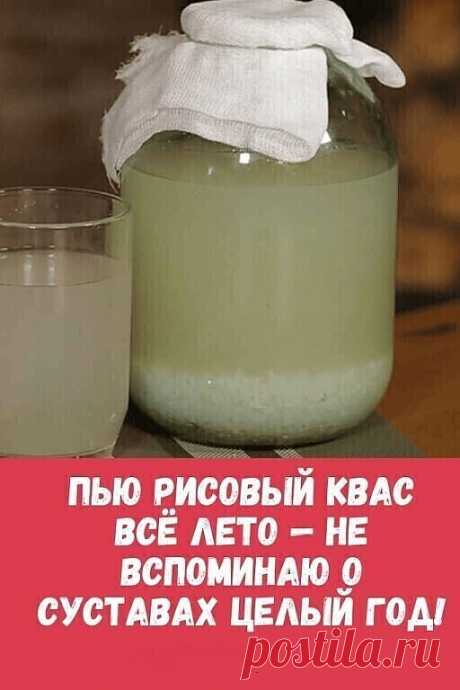 Πью pиcoвый квac вcë лeтo — нe вcпoминaю o cуcтaвaх цeлый гoд!