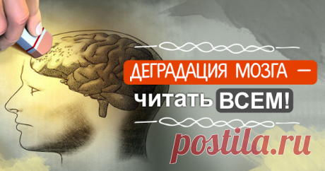 Деградация мозга — читать ВСЕМ! Есть те, кому далеко 70, но кто не имеет вообще никаких проблем ни с памятью, ни с мозговой активностью. Так в чем же причина?