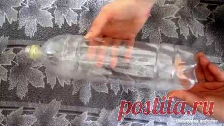 Красивая идея из пластиковой бутылки. | Шкатулка поделок | Яндекс Дзен