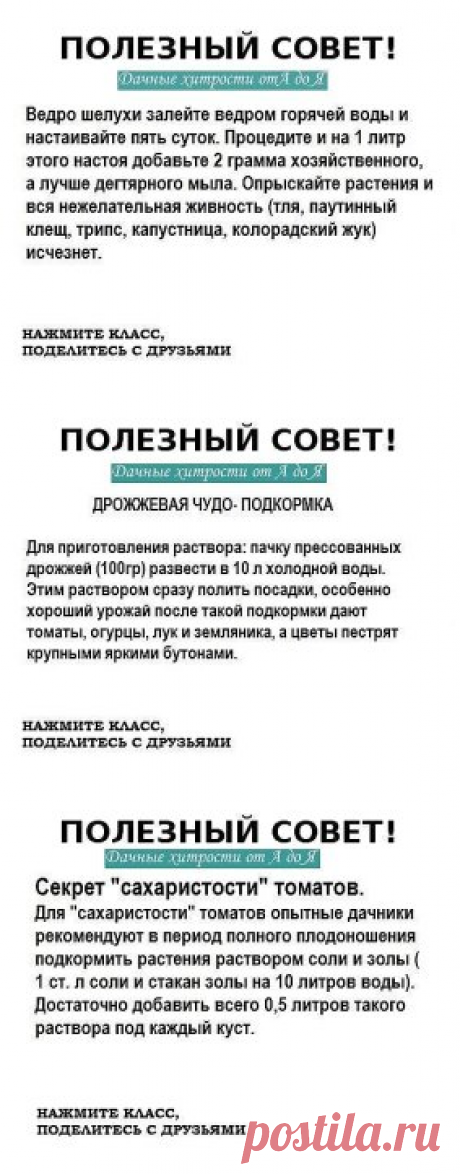 (1) Одноклассники     ОЧЕНЬ РЕДКО ВСТРЕТИШЬ ТАКИЕ СОВЕТЫ