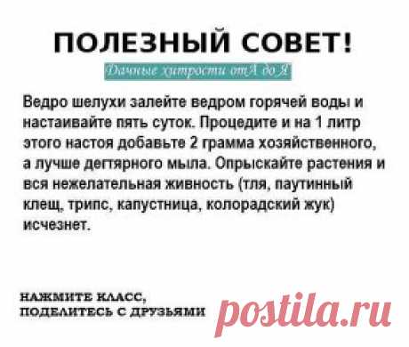 (73) Одноклассники