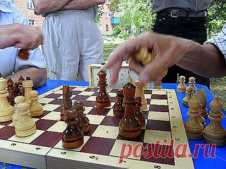Сергей Анатольевич — «В память о шахматисте...» на Яндекс.Фотках