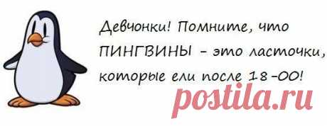 пингвины это ласточки которые ели после 18 00 картинка: 6 тыс изображений найдено в Яндекс.Картинках