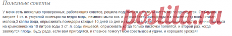 Полезные советы: Группа Практикум садовода и огородника