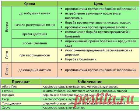 Опрыскивание персика