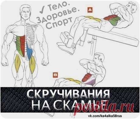 Упражнение для пресса / Спорт Сильных!