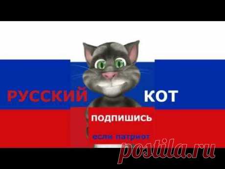 Русский Кот - Топ 5 месяца 1