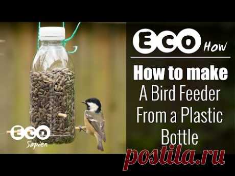 Eco How: How to make a Bird Feeder from a Plastic Bottle