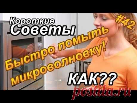 Как быстро помыть микроволновку? | Полезные советы!