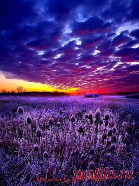 #sunset by Phil~Koch | SUNSETS AND SUNRISE