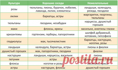 Всего два простых правила идеального цветника