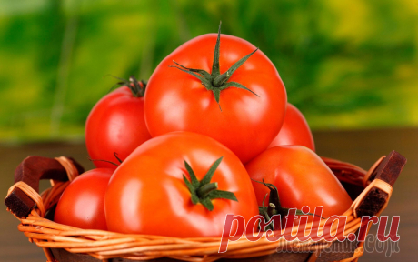 Как сохранить томаты свежими надолго
