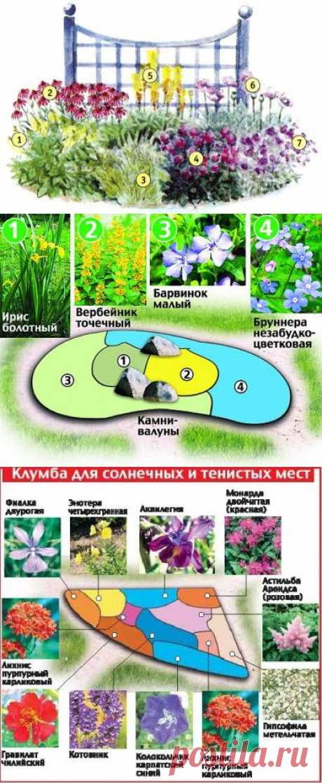 (+1) тема - Красивая композиция для дачи в насыщенных тонах | 6 соток