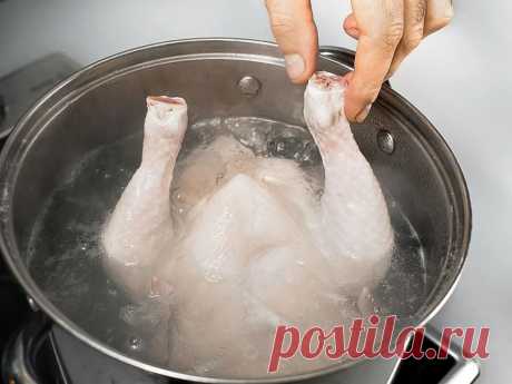 Как очистить магазинную курицу от вредных веществ, антибиотиков в том числе | КУЛИНАРНЫЙ ТЕХНИКУМ | Пульс Mail.ru
