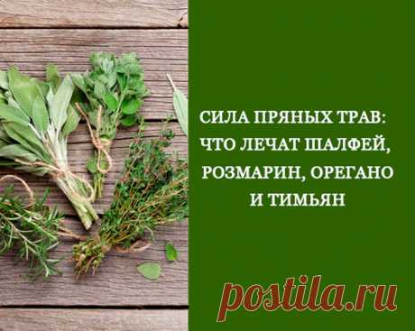 В чём сила пряных трав Обязательно включите в свой рацион ароматические травы, если для вас характерен любой из симптомов, описанных в этой статье.