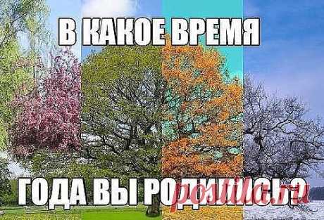 В какое время года вы родились?