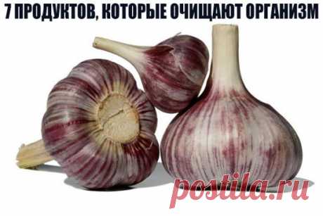 7 ПРОДУКТОВ, КОТОРЫЕ ОЧИЩАЮТ ОРГАНИЗМ