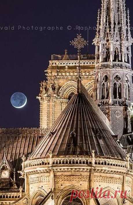 Notre Dame de Paris et la Lune depuis l'Île Saint Louis / Paris, France | Lydia Consilvio приколол(а) это к доске Magic in Architecture | Pinte…