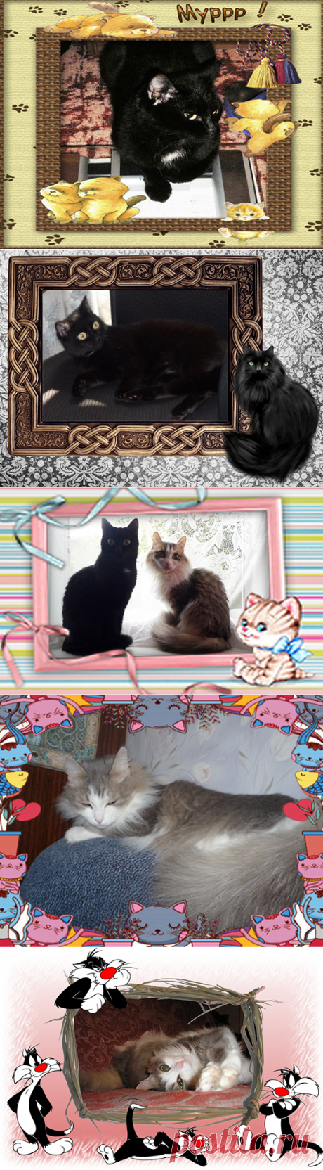 Кошка Мяфа и кошка Муся