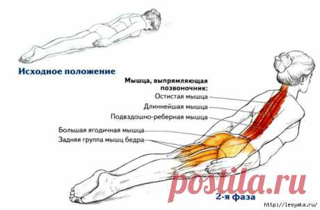 Всего одно упражнение для королевской осанки!