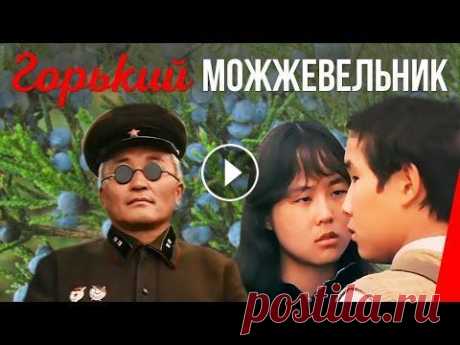 Горький можжевельник (1985) фильм 1943 год. Бурятия. В глубоком тылу в далекой Сибири, за много тысяч километров от линии фронта находится небольшая бурятская деревня. Но нет сейчас в ...