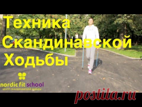 Техника Скандинавской ходьбы за 5 минут - YouTube