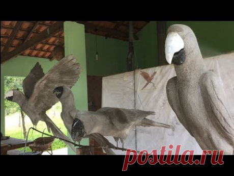 Escultura em concreto de arara -  passo a passo (parte 1).  Macaw Concrete statue - Step by Step