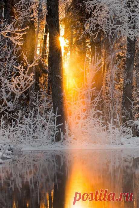 Magical Evening Janek Laanemäe  |  Найдено на сайте crossingislandnatur.tumblr.com.